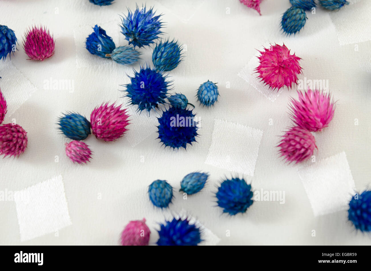 Dyed flowers on a tablecloth Stock Photo