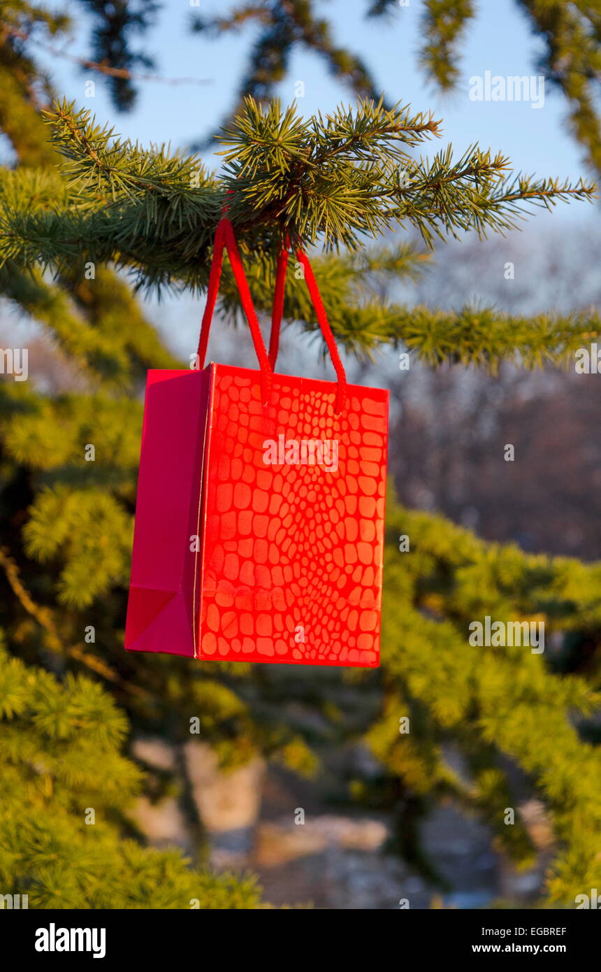 Valentine's gift in a red paper bag placed outside on a fir tree Stock Photo