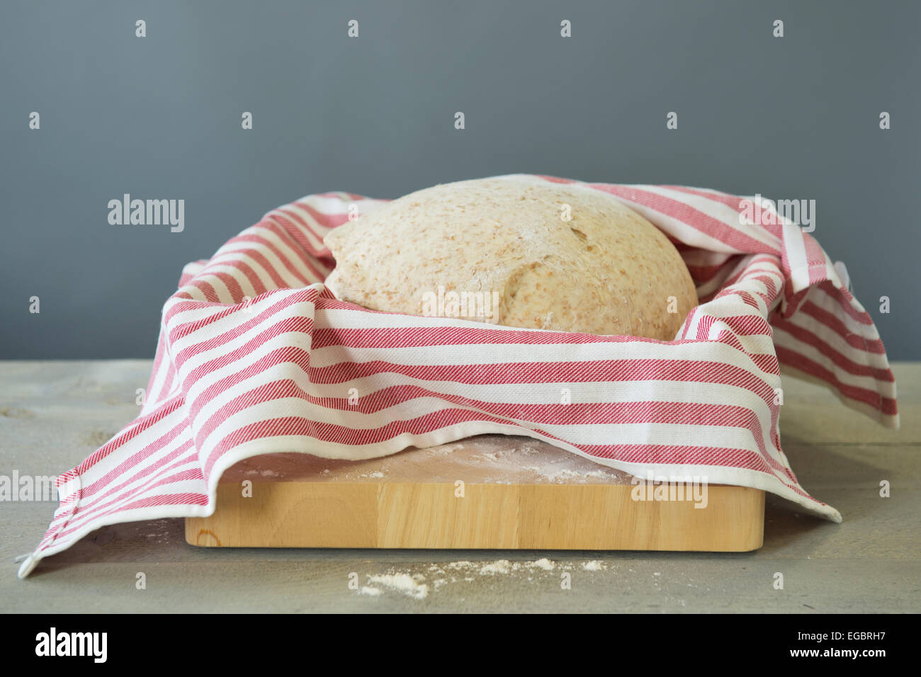 Rising bread dough in red striped cloth Stock Photo