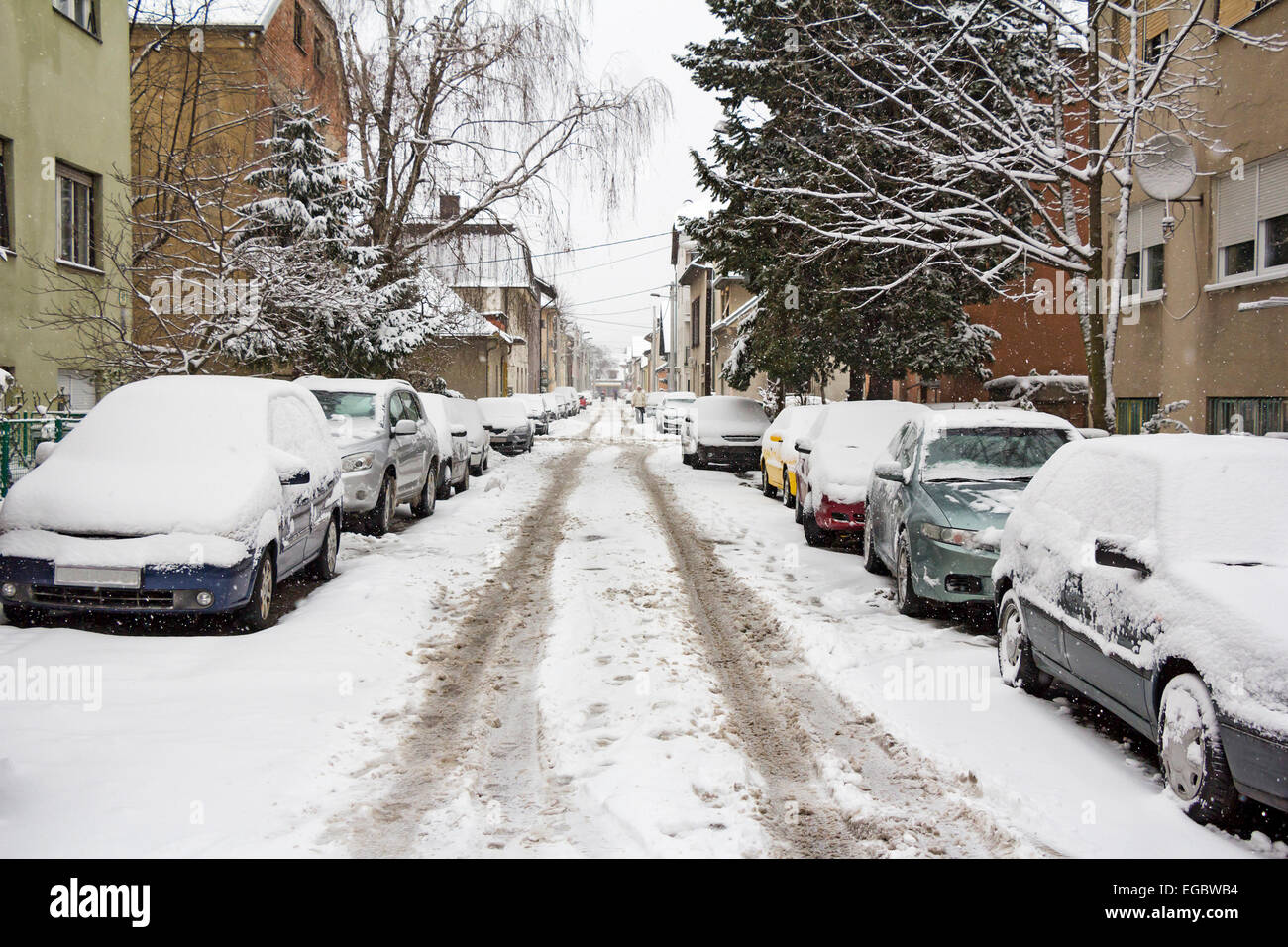 Cars parked on the street covered with fresh snow Stock Photo - Alamy