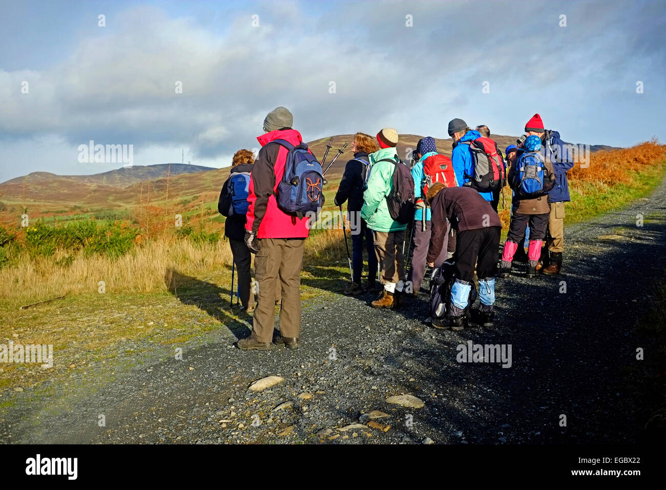Walkers on on the legendaryTain Trail  taking a break in the Cooley Mountains Carlingford Co. Louth Ireland Stock Photo