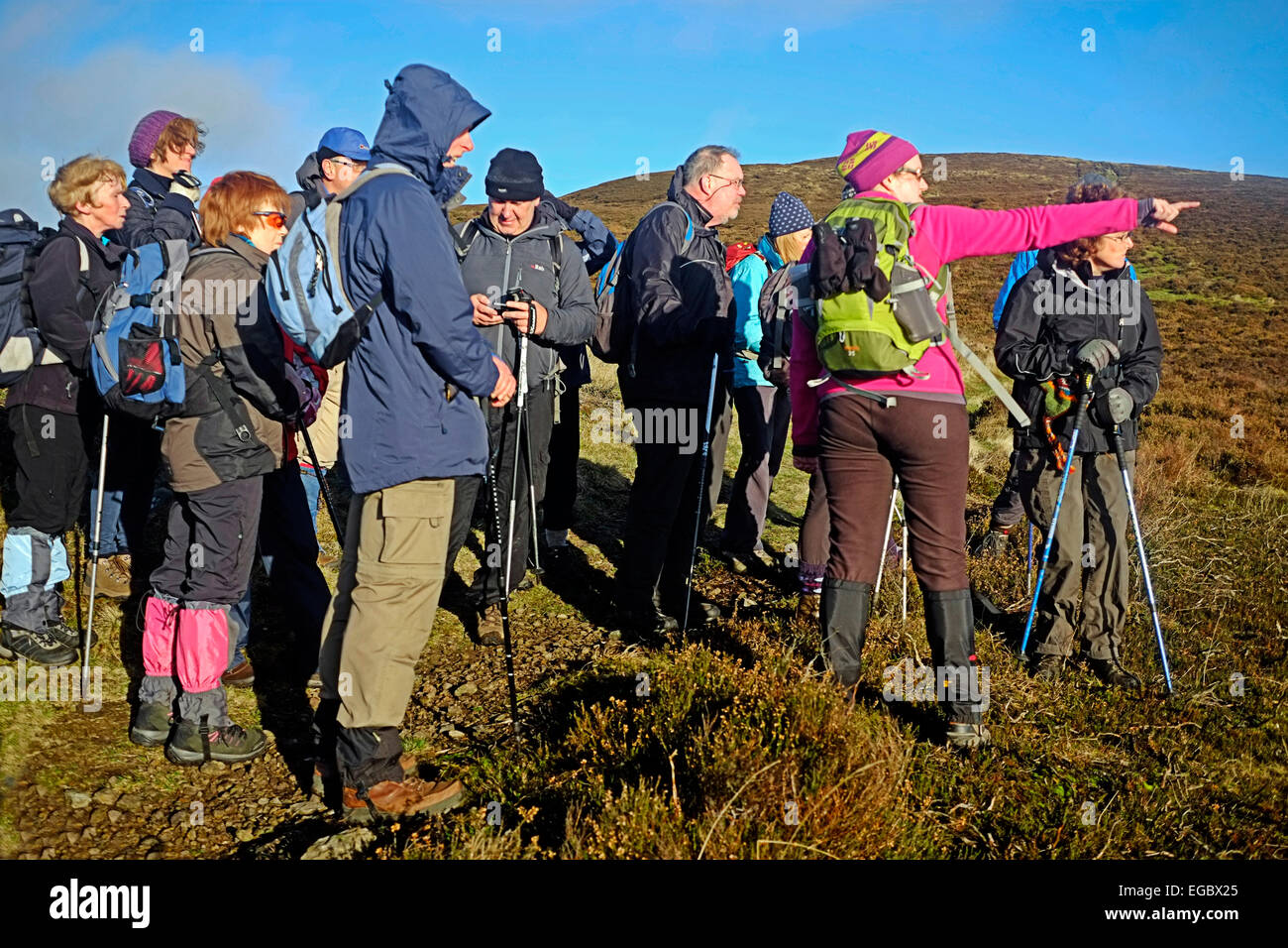 Walkers on on the legendaryTain Trail  taking a break in the Cooley Mountains Carlingford Co. Louth Ireland Stock Photo