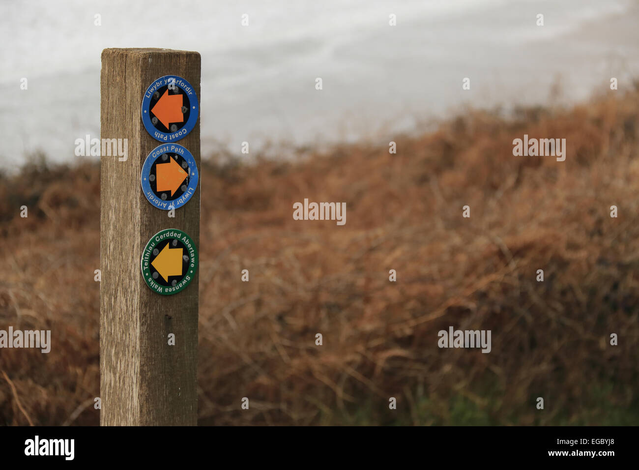 Wales Coast Path wooden sign post Stock Photo