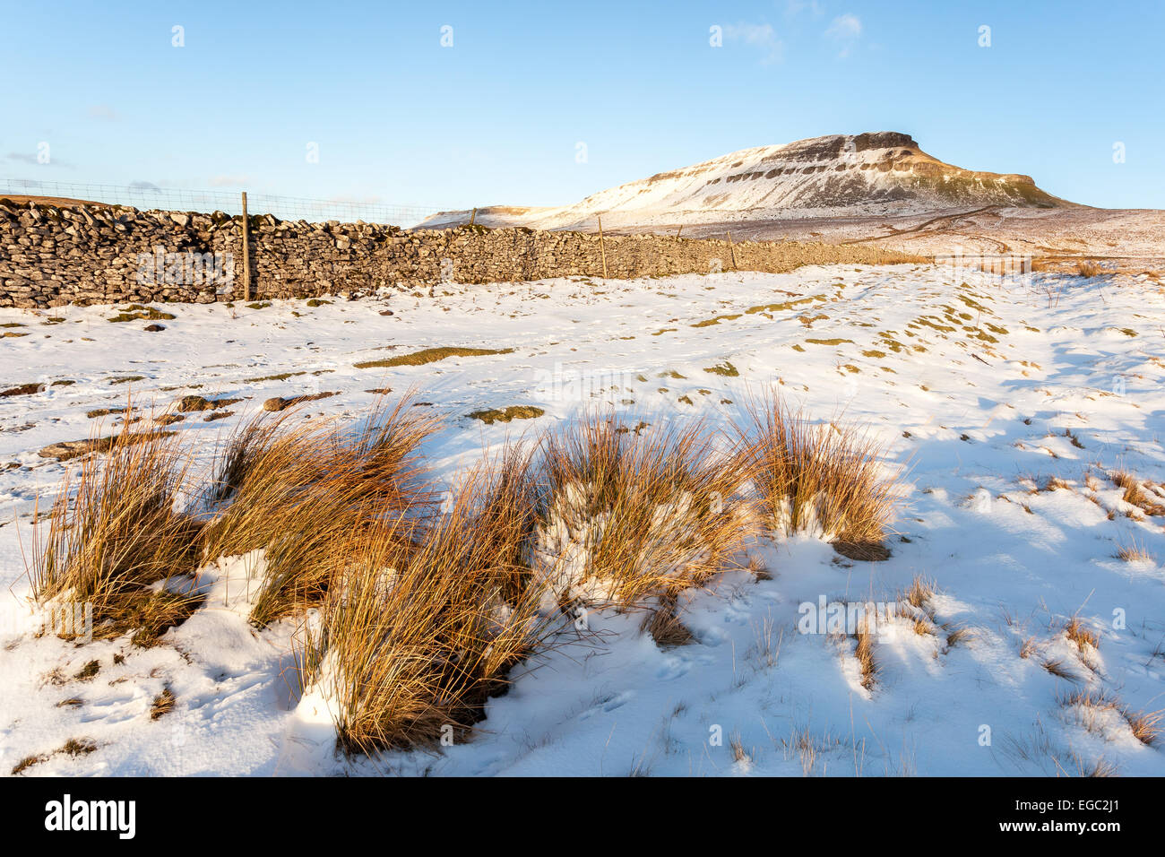Golden hour over a snow covered Pen-y-ghent in the Yorkshire Dales National Park. Stock Photo