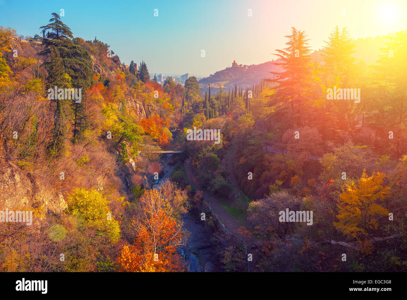 Botanical garden at sunset in Tbilisi city, Georgia country Stock Photo