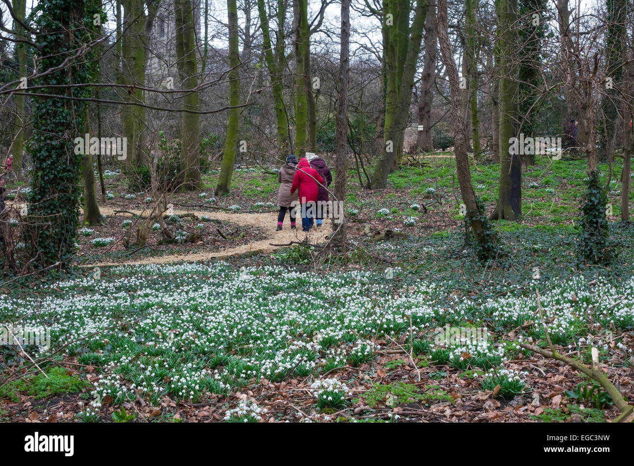 Hospital of god at greatham hires stock photography and images Alamy