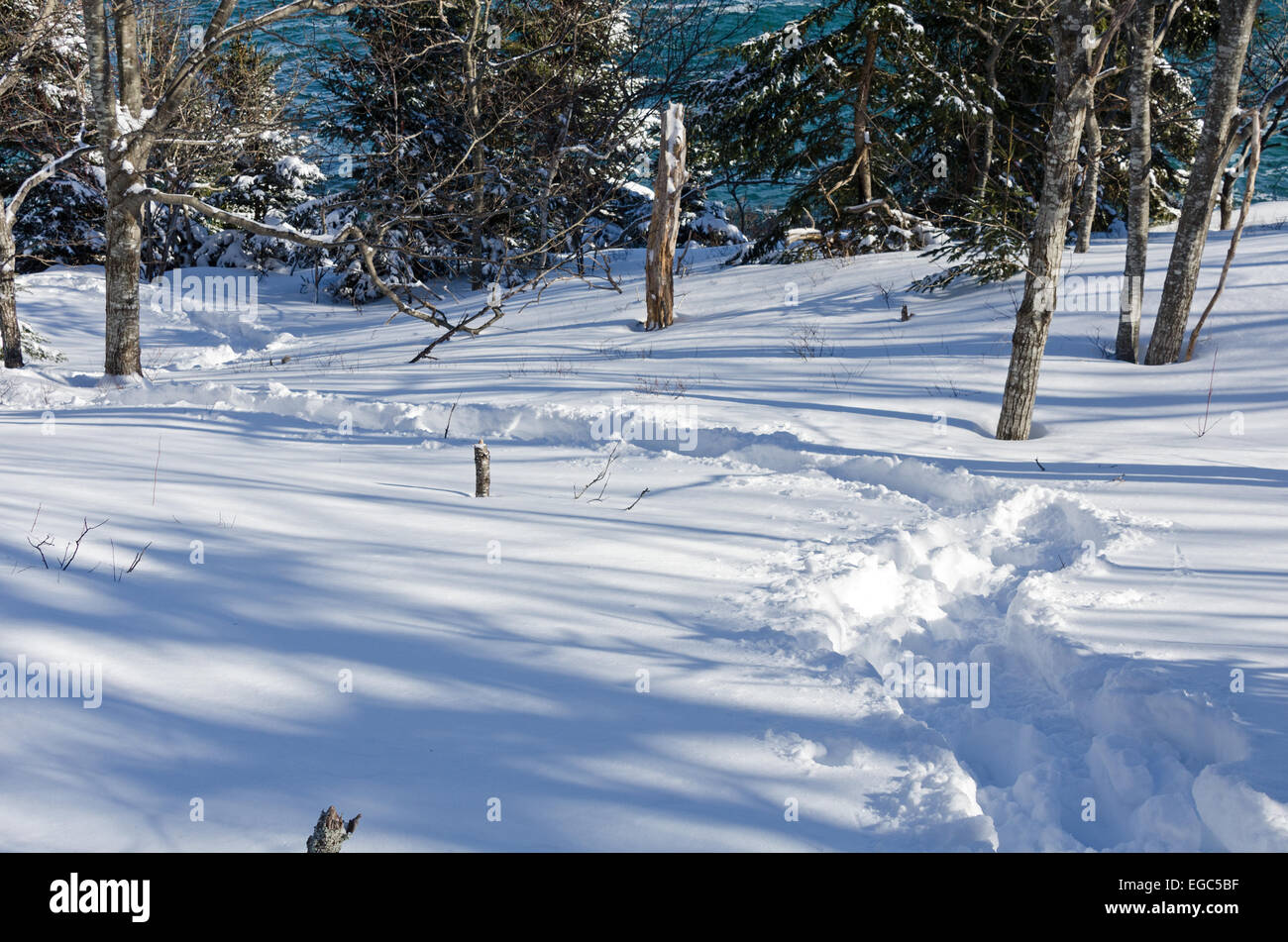 Snowshoe enthusiasts leave a trail through deep snow along the coast in