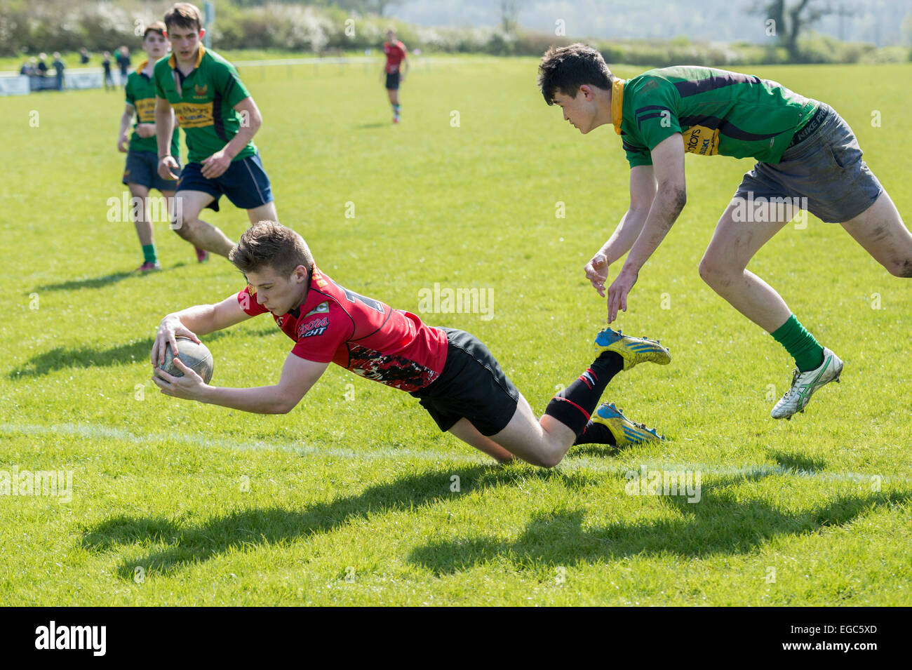 Rugby player scoring try Stock Photo Alamy