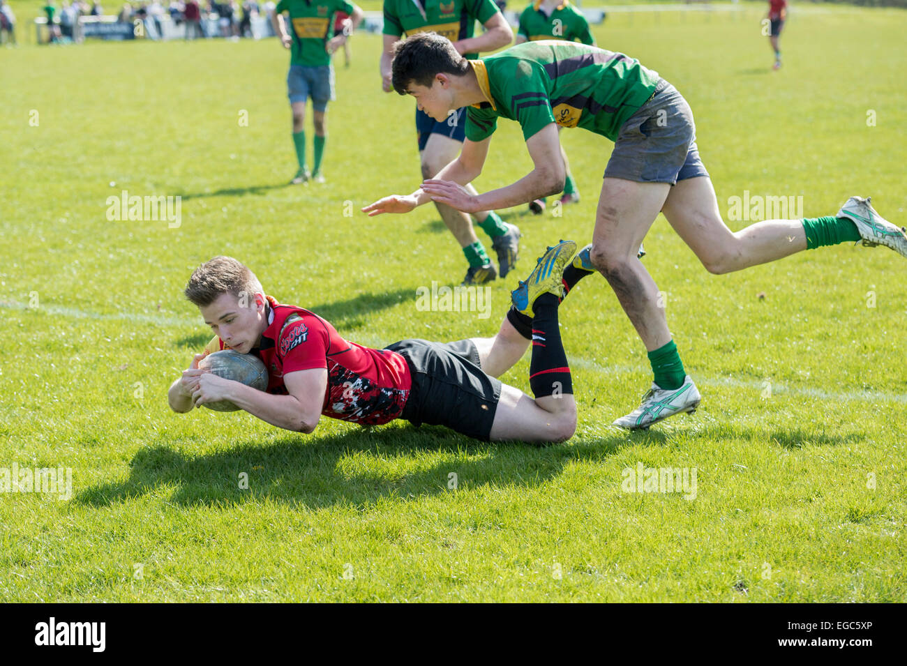 Rugby player scoring try. Stock Photo