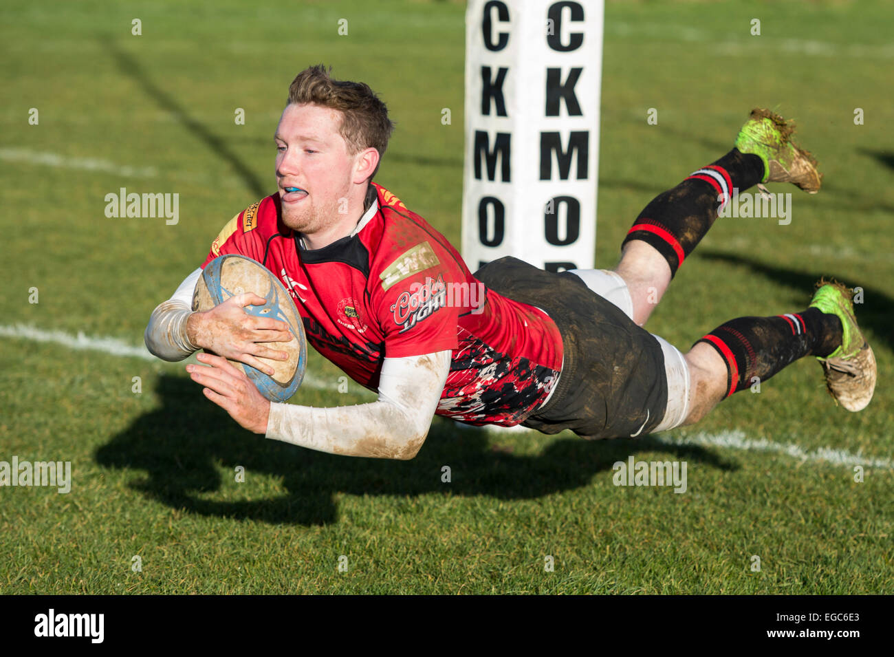 Rugby player scoring try. Stock Photo