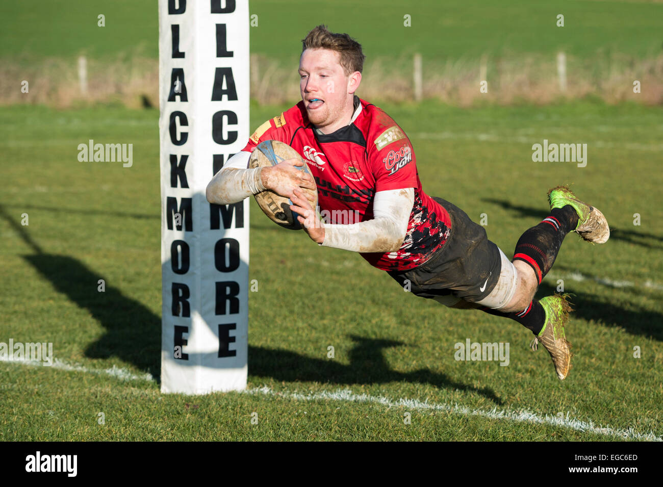 Rugby player scoring try. Stock Photo