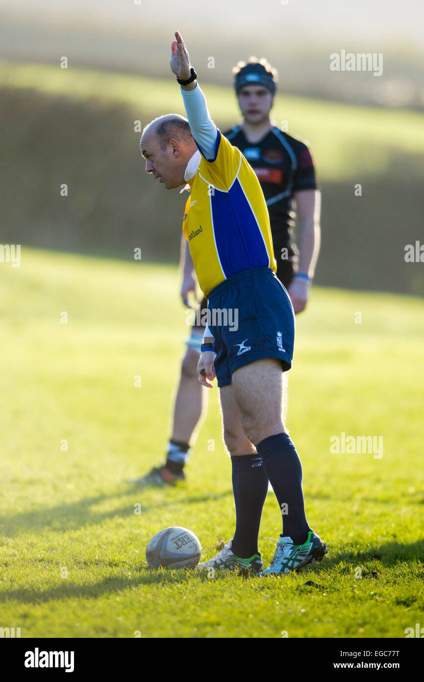 Rugby player in action running with the ball. Stock Photo