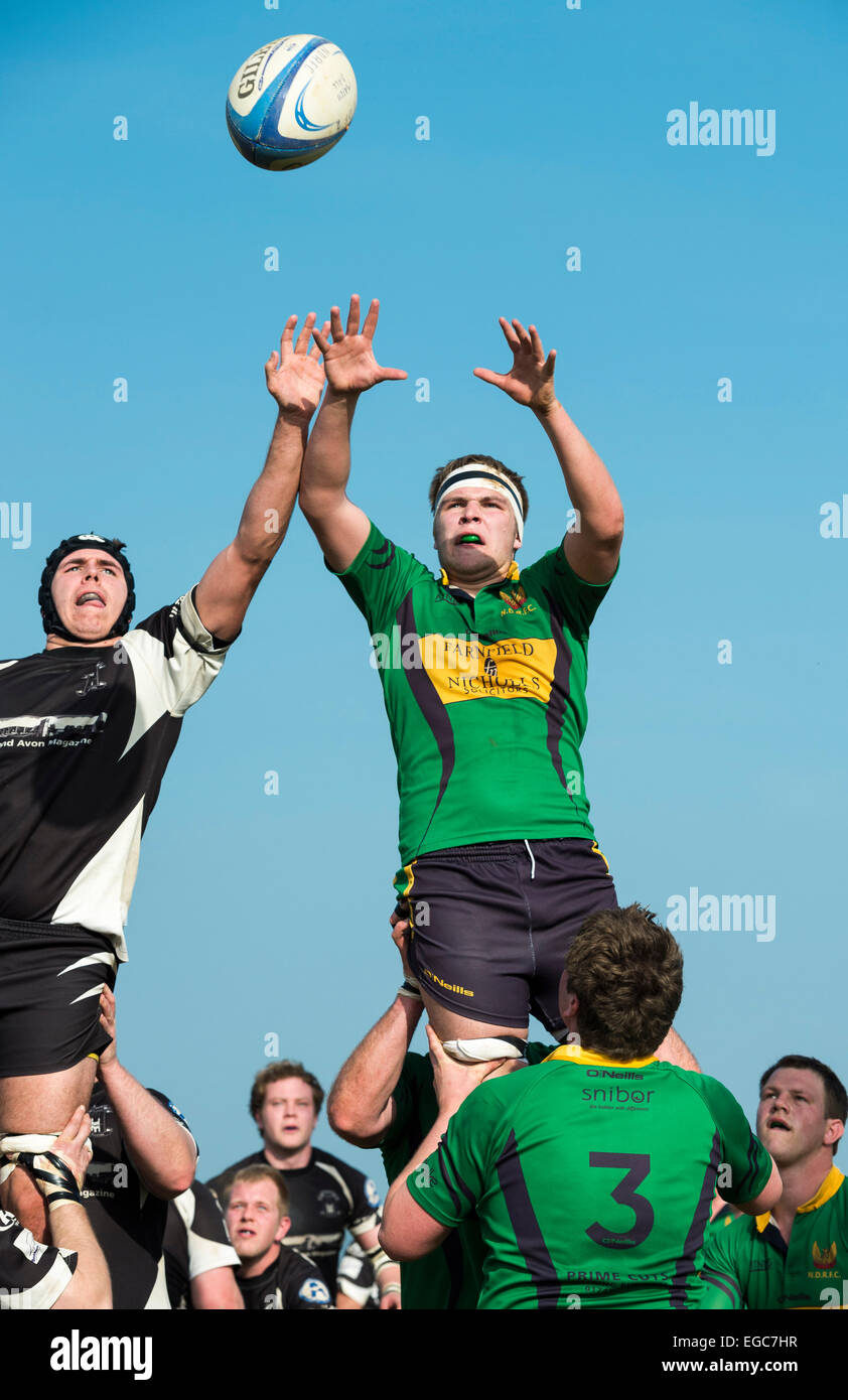 Rugby line out, players in action Stock Photo Alamy