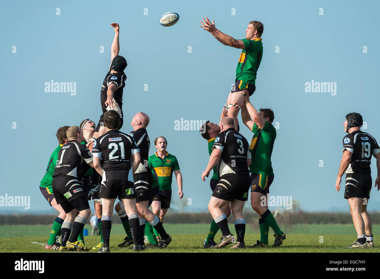 Rugby line out, players in action Stock Photo