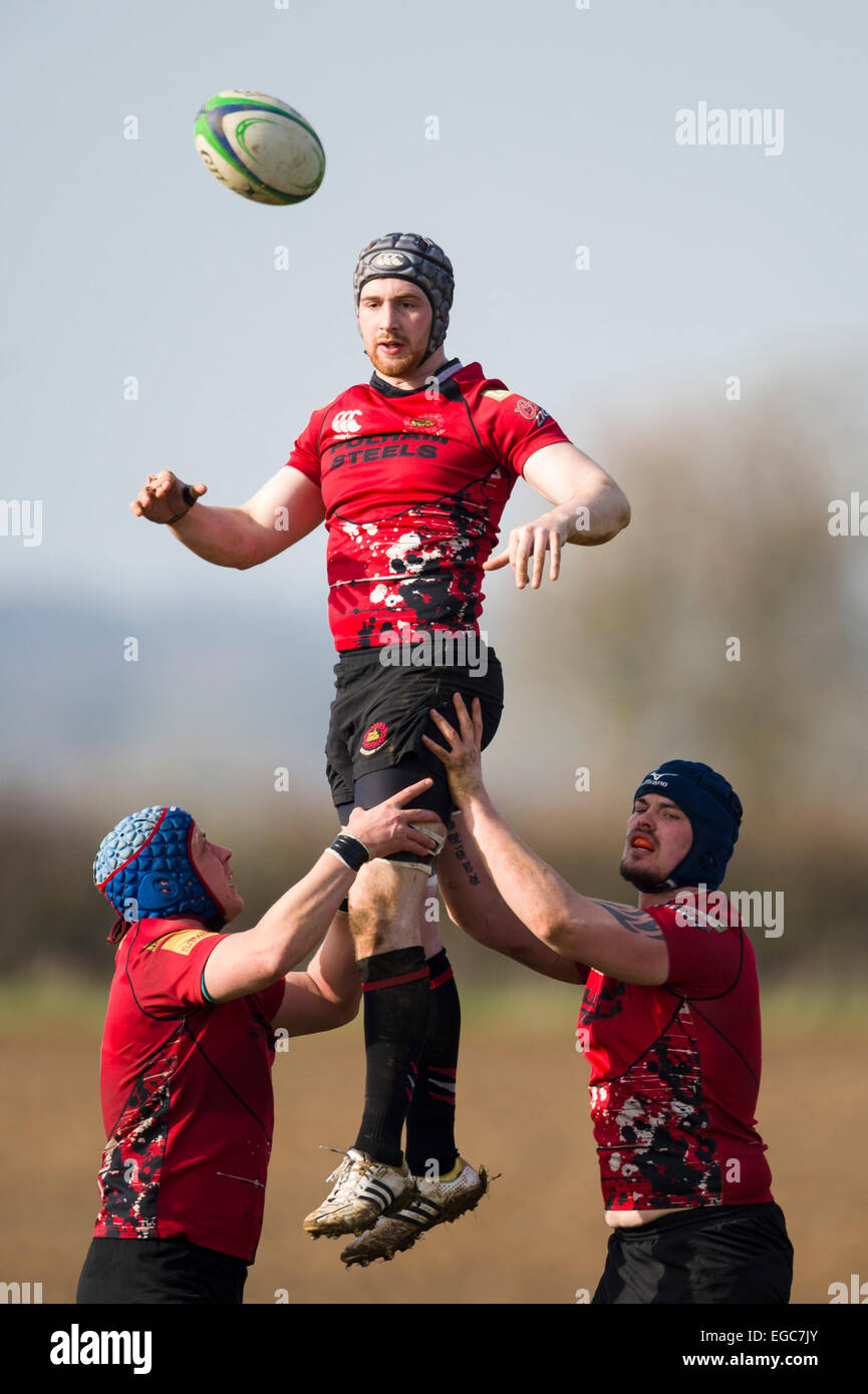 Rugby line out, players in action. Stock Photo