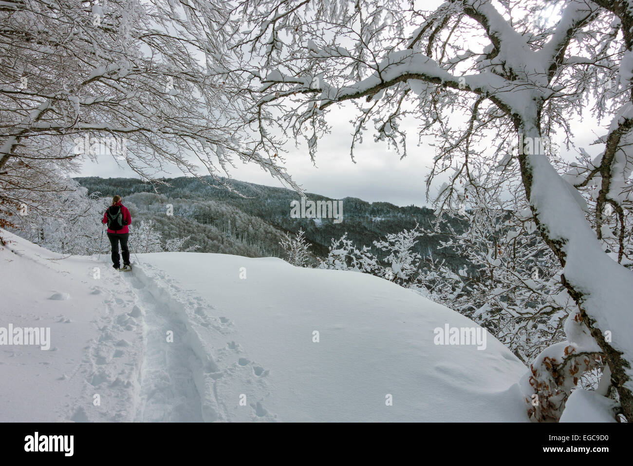 Female figure in pink top, snow-shoeing through trees in deep snow, Ax les Thermes, Ariege, French Pyrenees Stock Photo