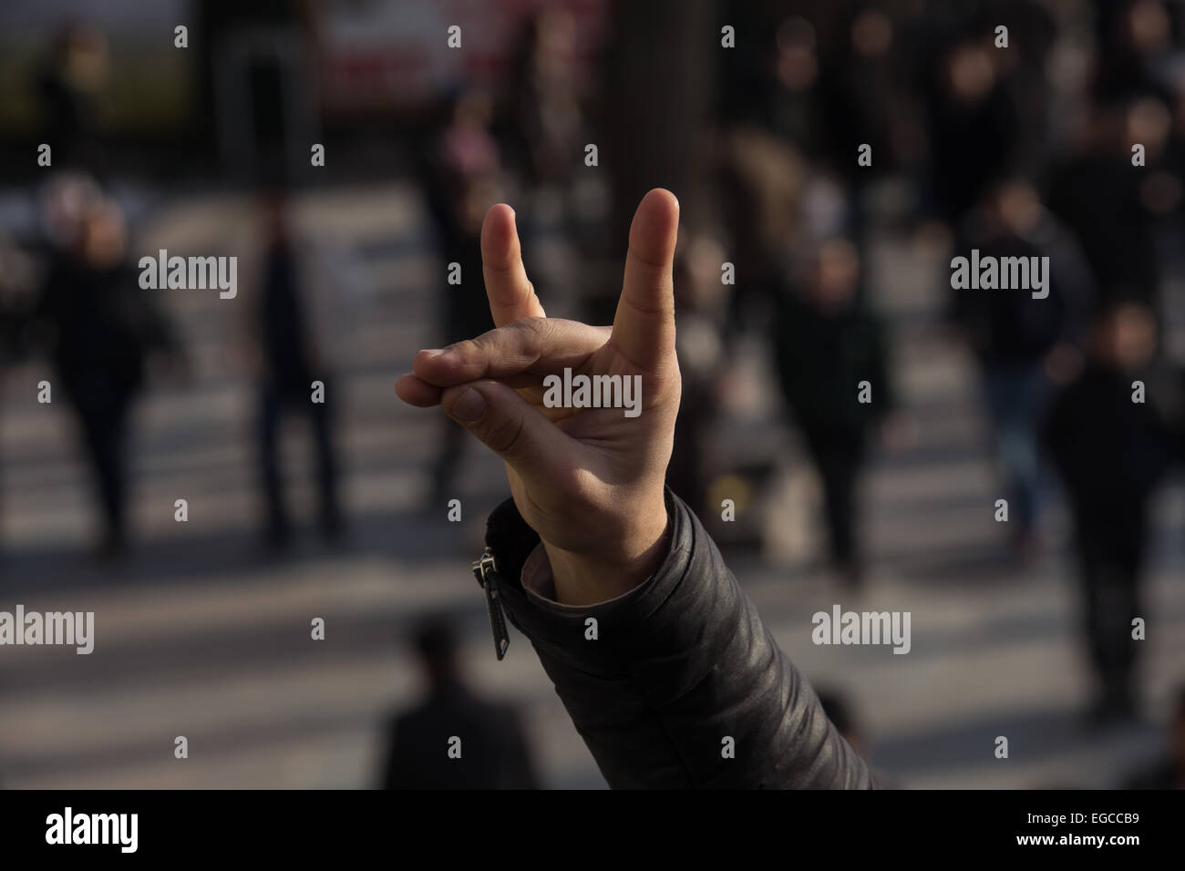 Turkish wolf hires stock photography and images Alamy