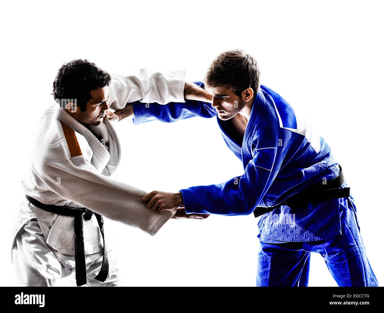 two judokas fighters fighting men in silhouette on white background ...