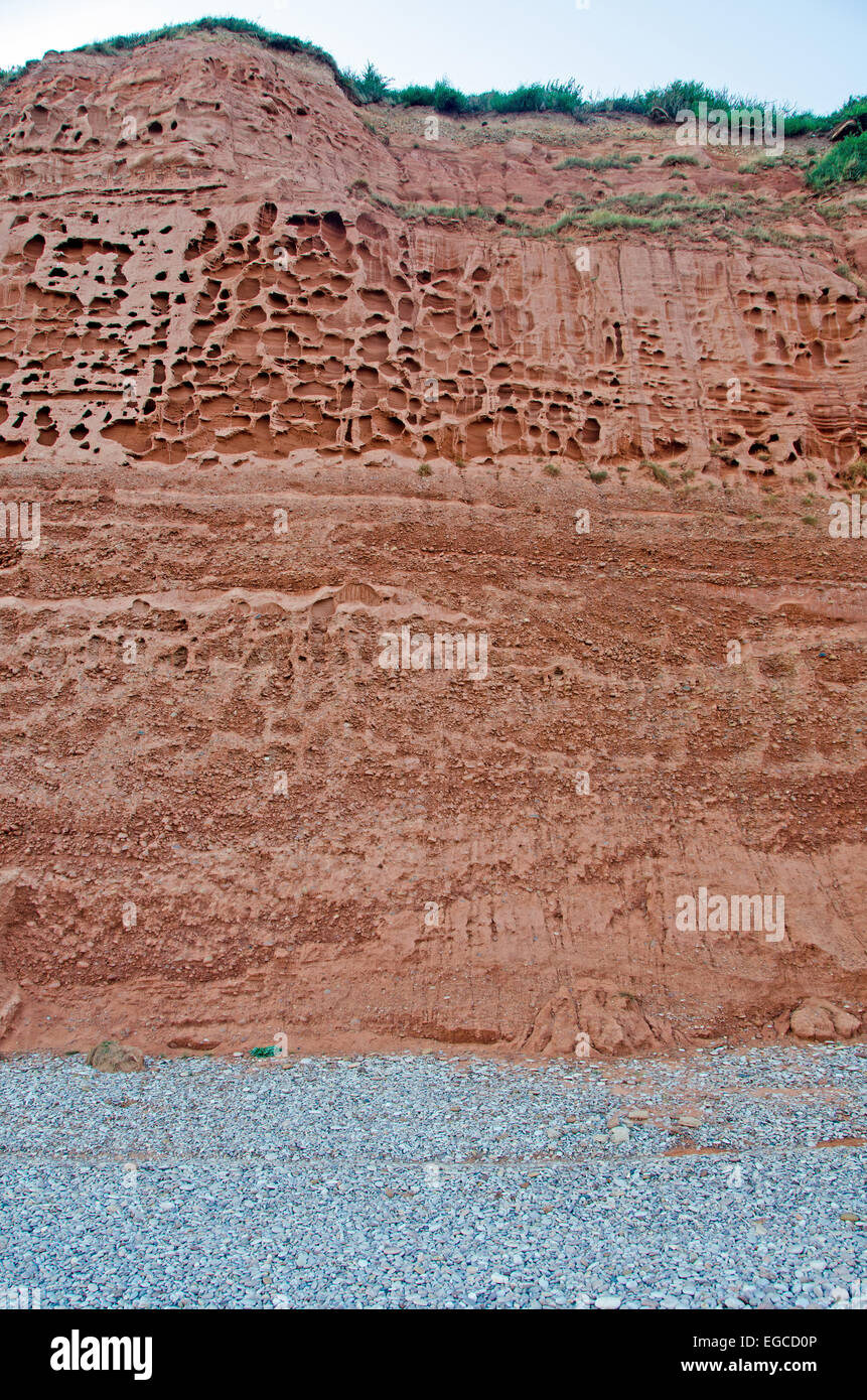 Cliffs at Budleigh Salterton showing the Bunter Pebble Beds overlain by Otter Red Sandstone with extensive honeycomb weathering. Stock Photo