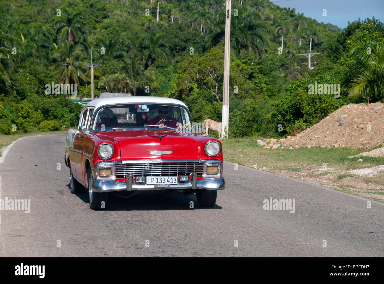 A classic 1955 Chevrolet Bel Air used as a tourist taxi travels on a rural road near Havana Cuba Stock Photo