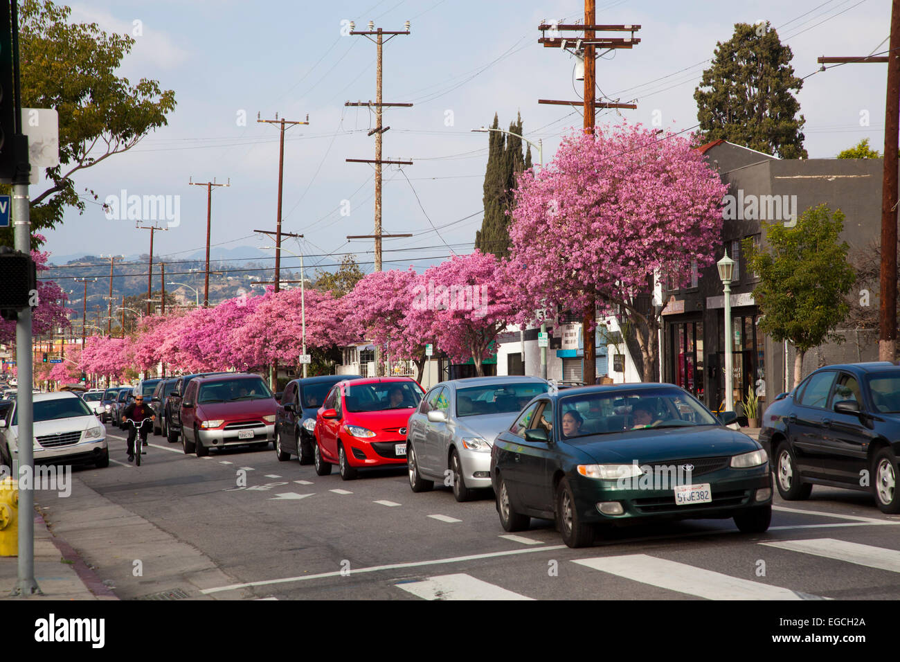 Virgil Ave., near Melrose Ave., Los Angeles, California Stock Photo Alamy