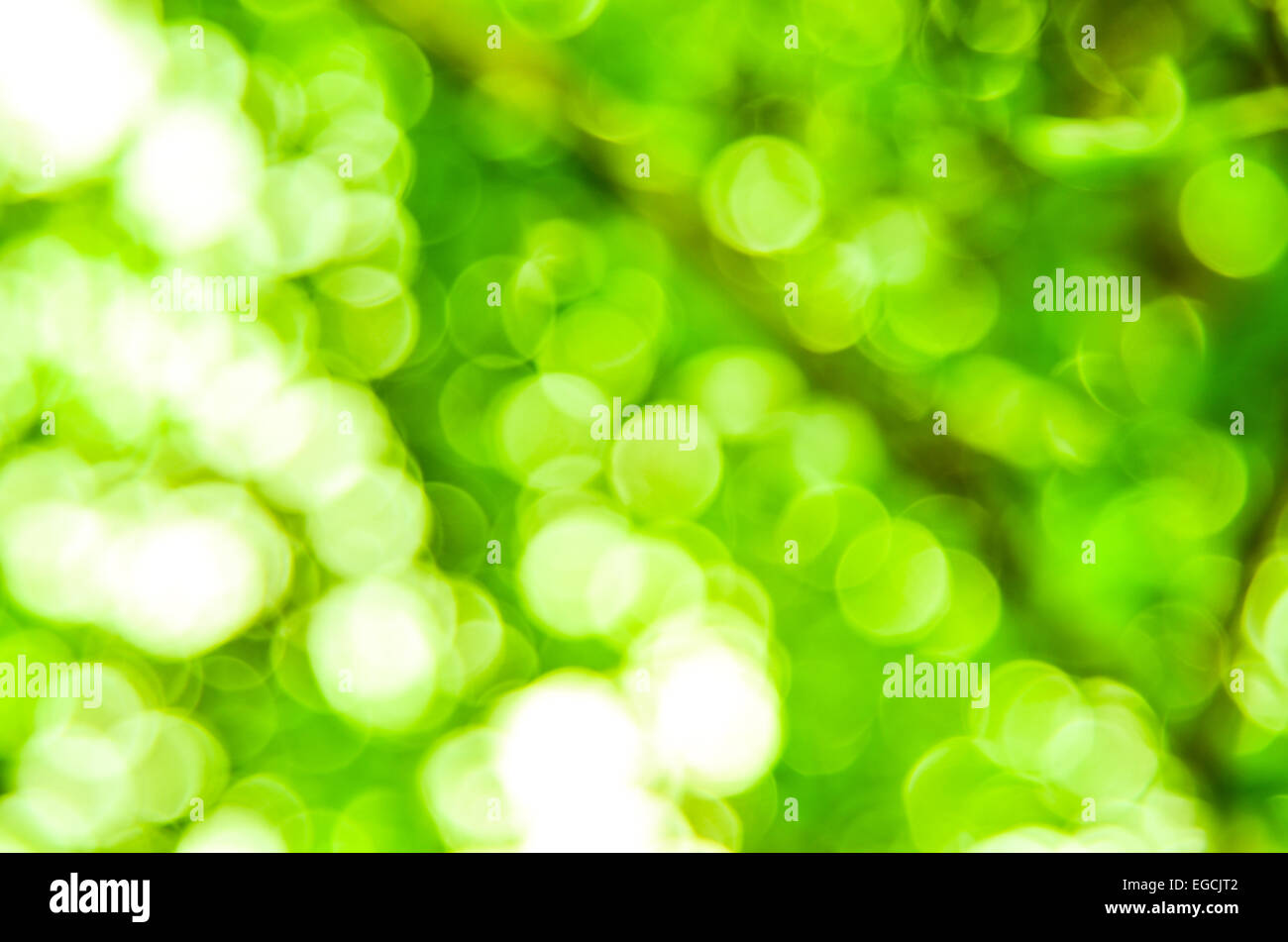 Defocus Bokeh background Stock Photo - Alamy