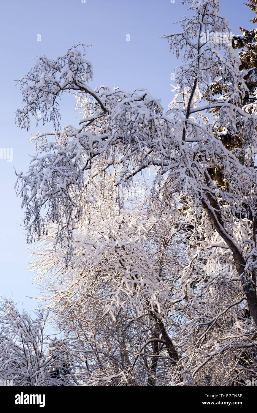Urban winter landscapes hi-res stock photography and images - Alamy