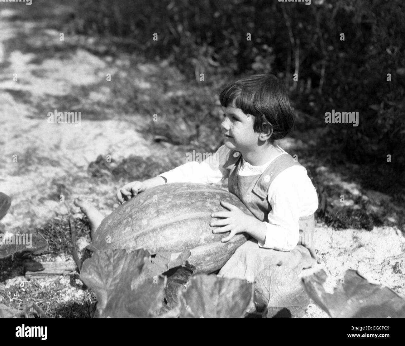 1920s 1930s LITTLE GIRL SITTING HOLDING LARGE PUMPKIN Stock Photo