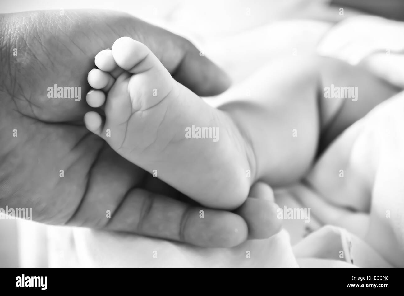 Baby feet newborn Stock Photo
