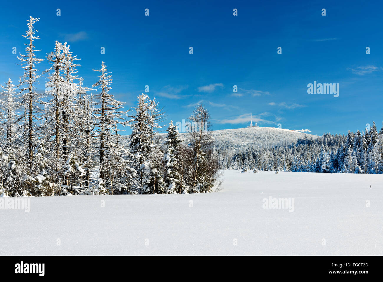 Snow-covered winter landscape, Mt Brocken at the back, Harz National Park, near Torfhaus, Lower Saxony, Germany Stock Photo