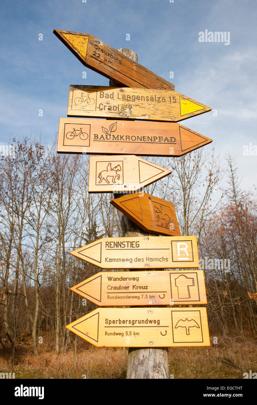 Signposts, Hainich National Park, Thuringia, Germany Stock Photo