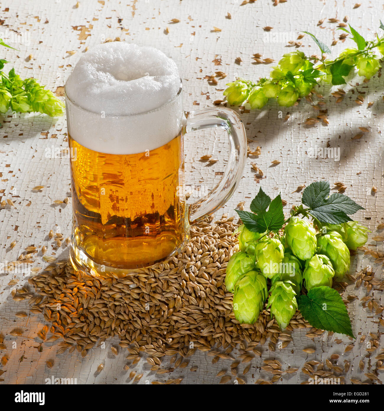 beer glass and raw material for beer production Stock Photo Alamy