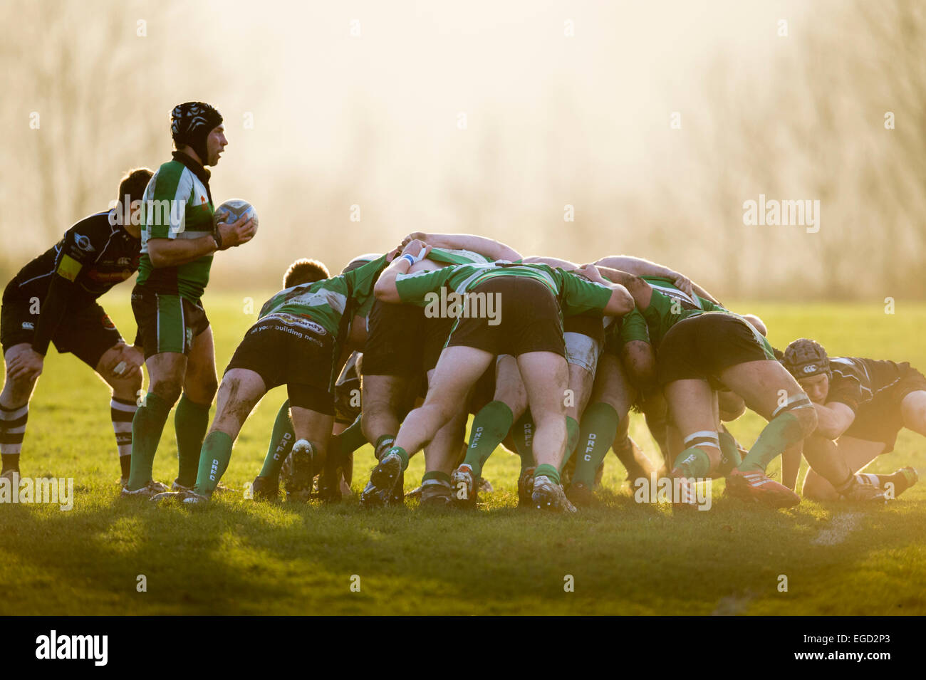 Rugby scrummage. Stock Photo