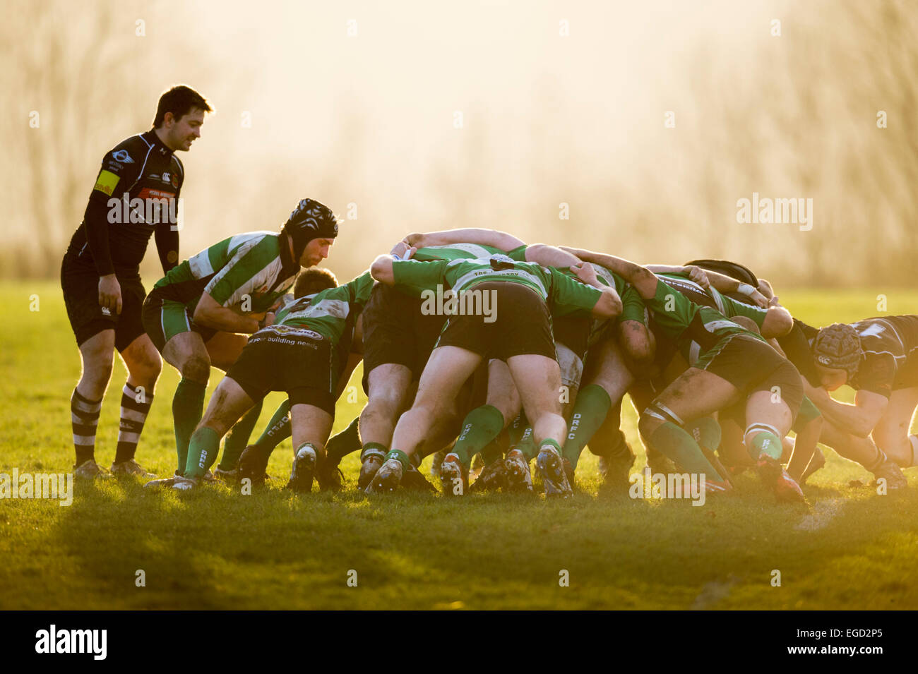 Rugby scrummage. Stock Photo