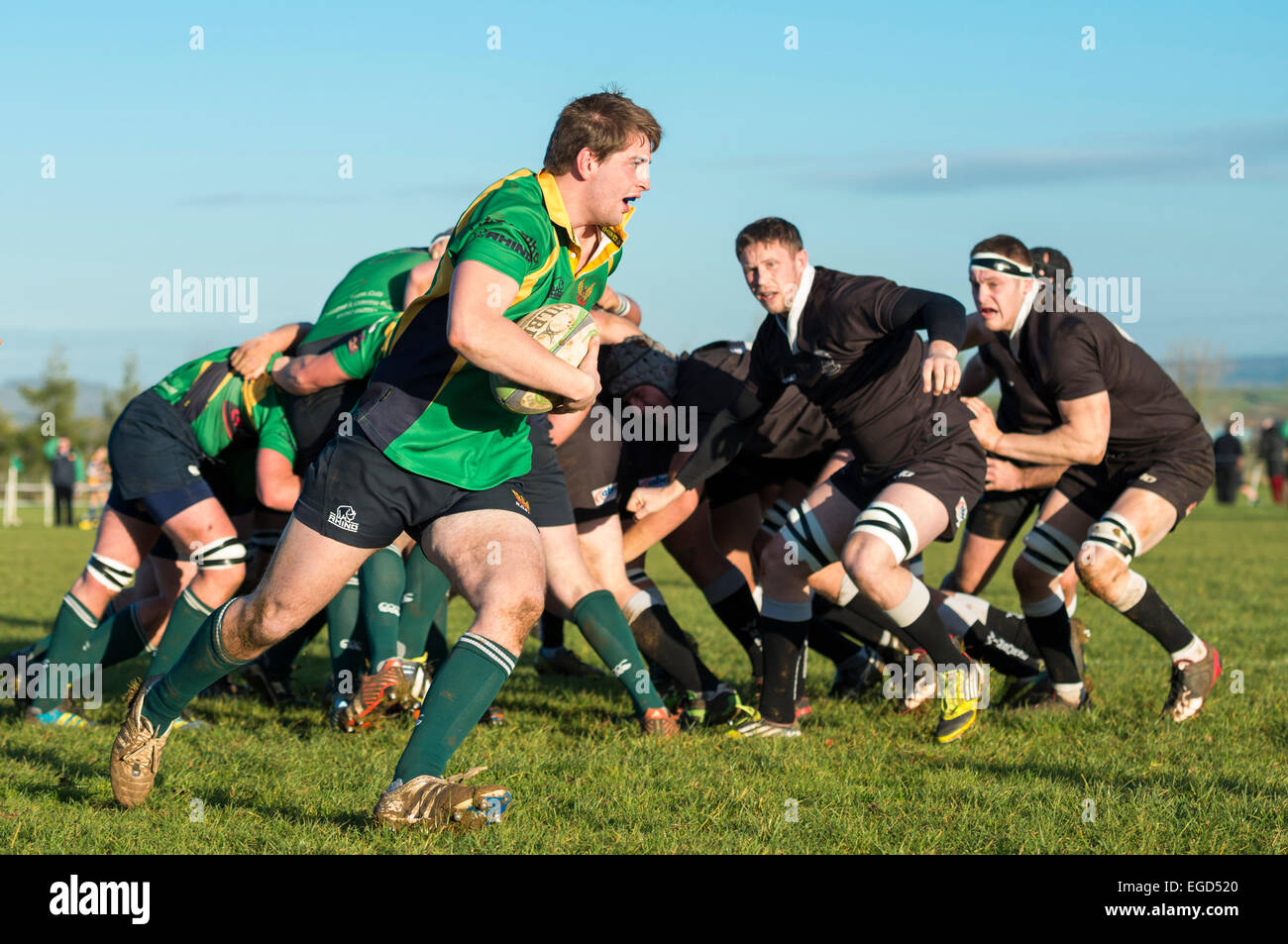 Rugby player in action running with the ball. Stock Photo