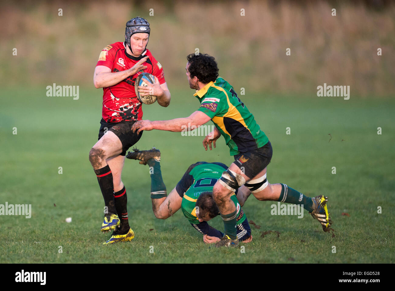 Rugby player in action running with the ball. Stock Photo