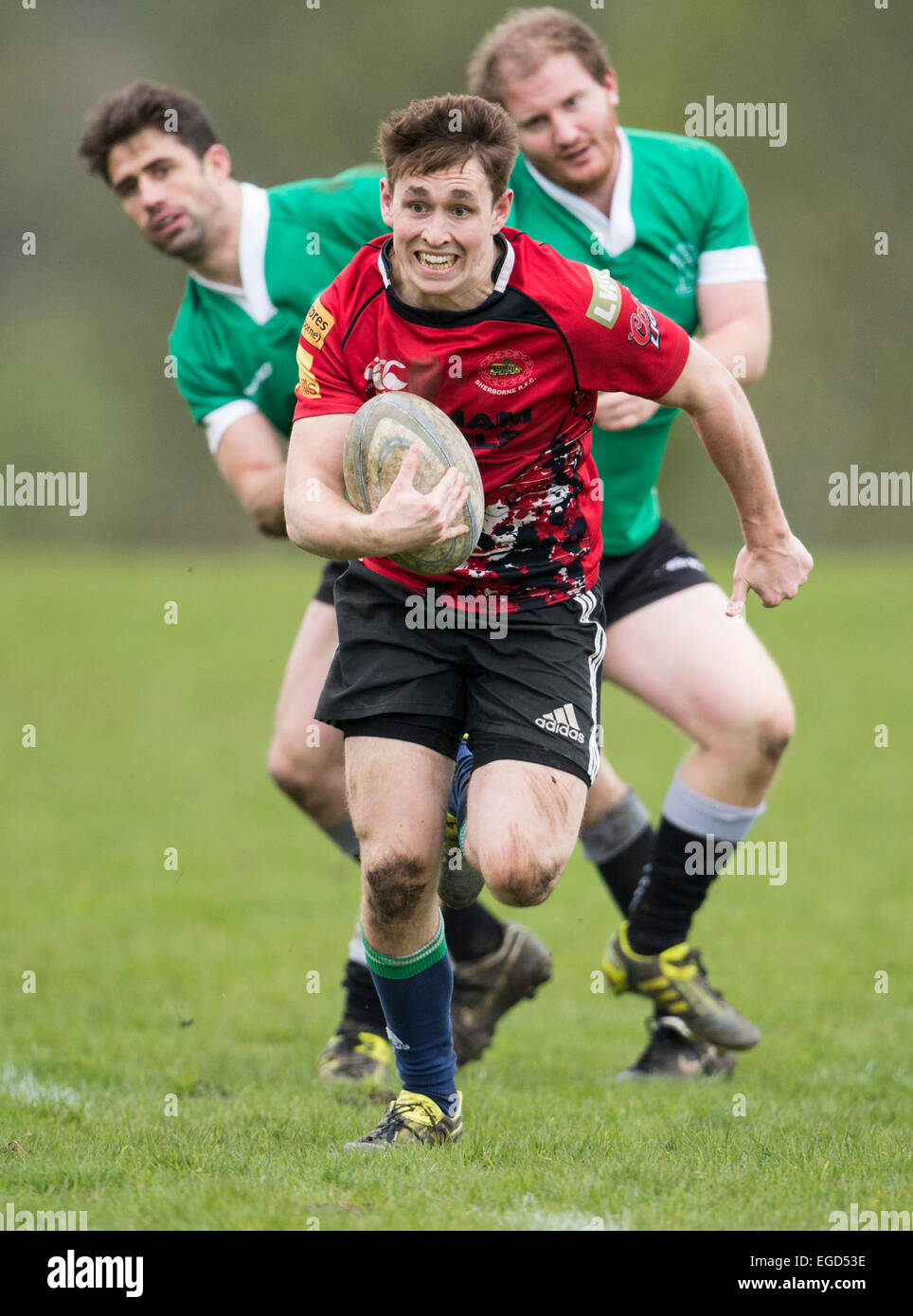 Rugby player in action running with the ball. Stock Photo