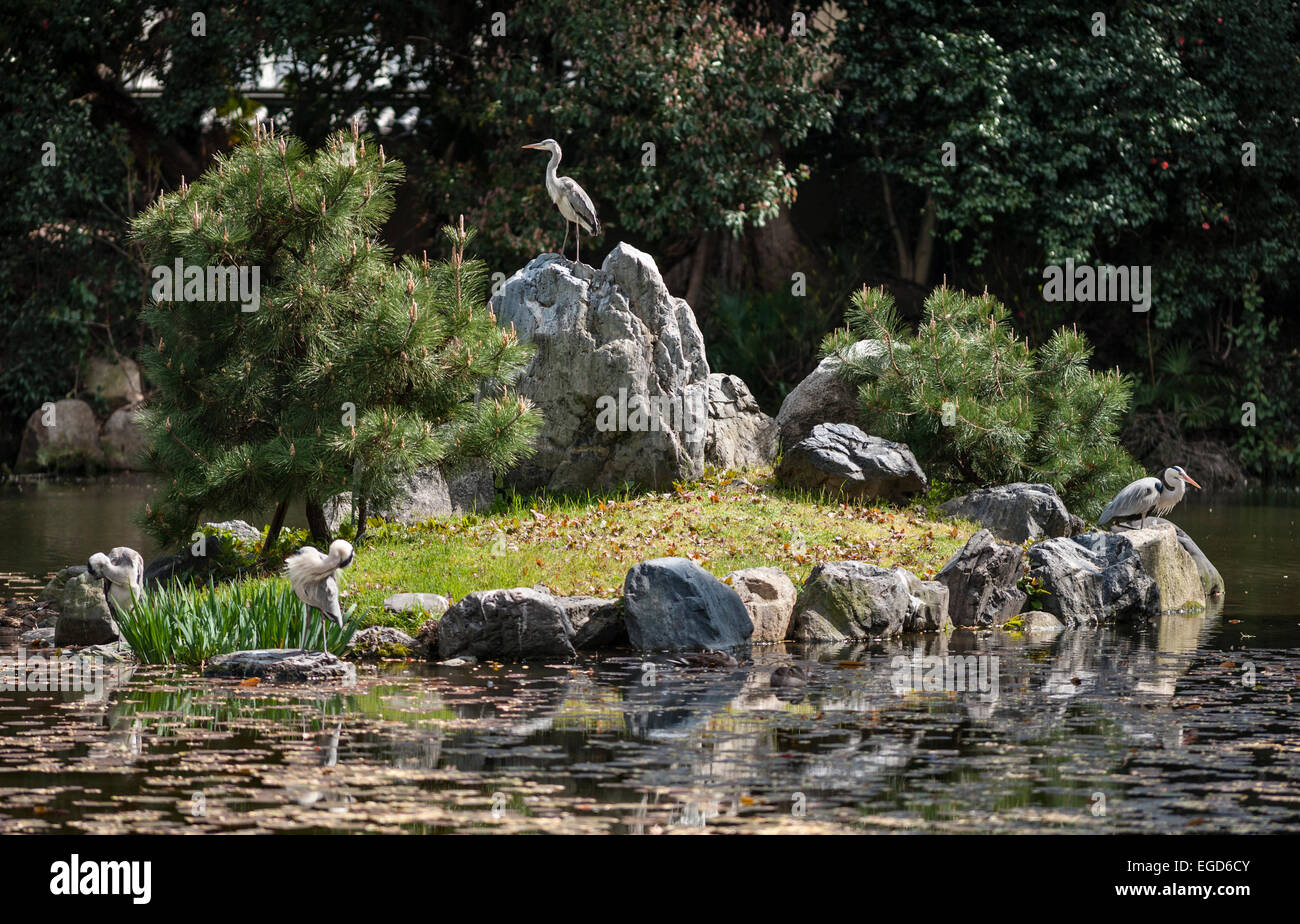 Shosei-en garden, central Kyoto, Japan. The heron island in one of the ponds Stock Photo