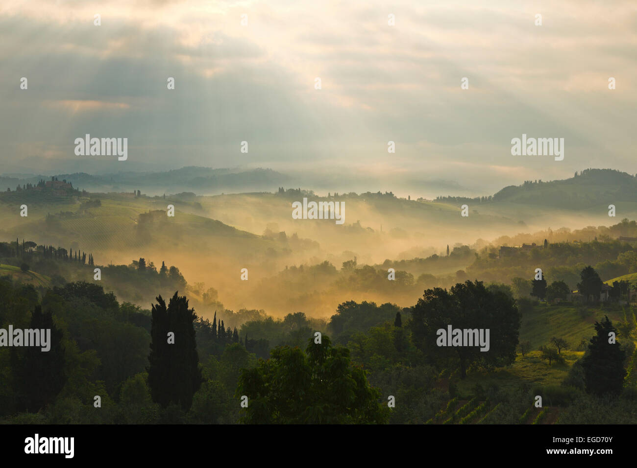 Fog at sunrise, landscape near San Gimignano, province of Siena, Tuscany, Italy, Europe Stock Photo