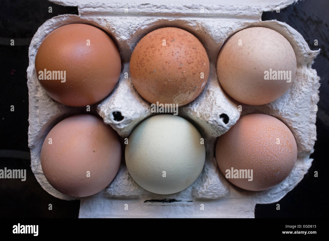 A box of free range local eggs showing a variety of colours. Stock Photo
