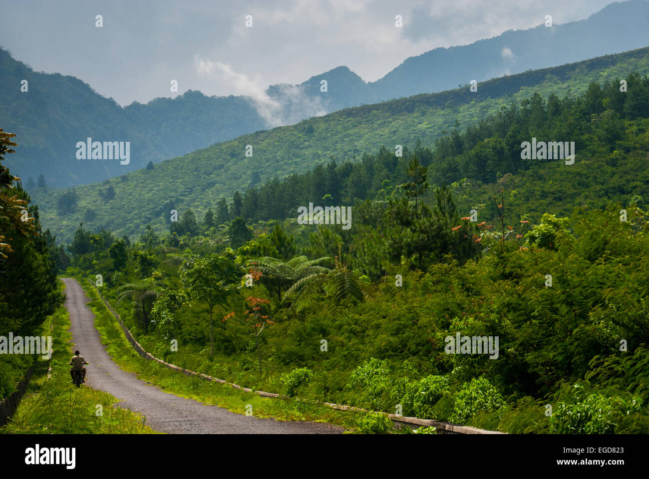 Road to Mount Galunggung volcano, West Java, Indonesia. Stock Photo
