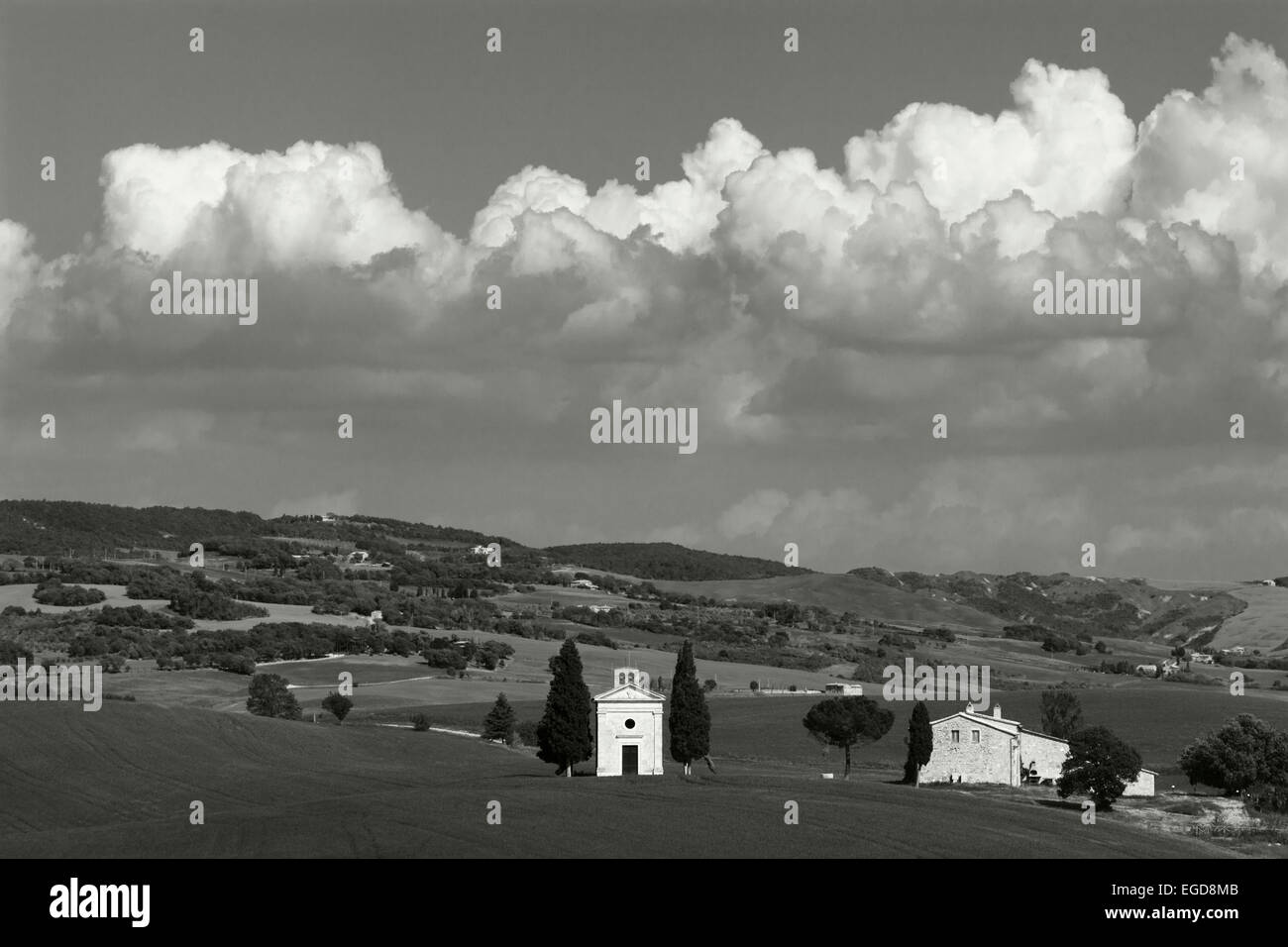 Vitaleta chapel, Cappella di Vitaleta, cypresses, near Pienza, Val dOrcia, Orcia valley, UNESCO World Heritage Site,  province of Siena, Tuscany, Italy, Europe Stock Photo