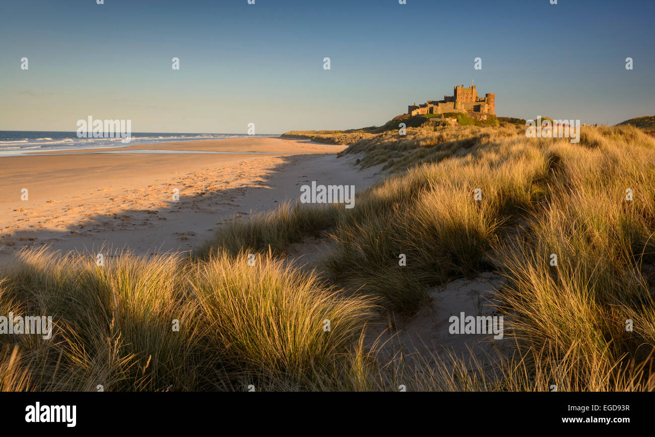 A view of Bamburgh Castle in Northumberland. Stock Photo