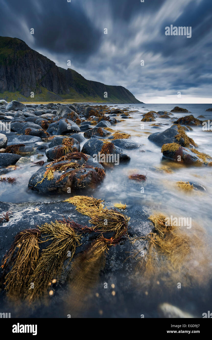 Gravel beach near Eggum on the Lofoten island Vestvagoy at dusk, Nordland, Norway Stock Photo
