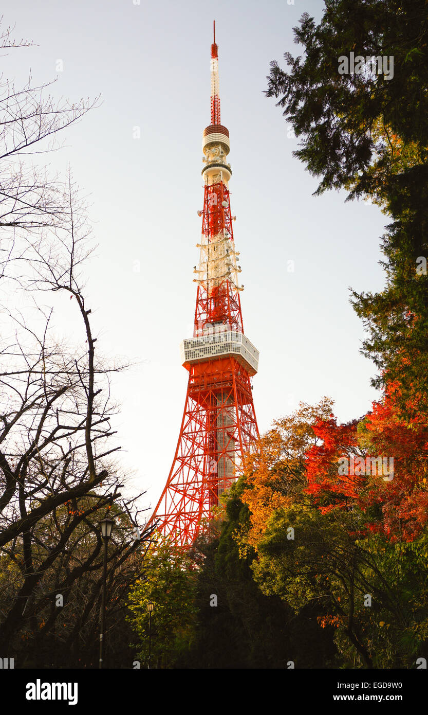 Tokyo Tower in the Winter with Red, Yellow and Green leaves besides Stock Photo