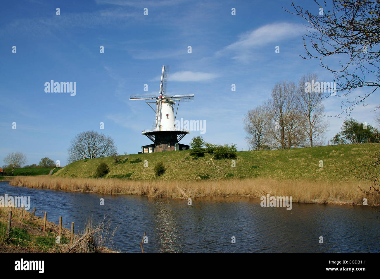 Windmill near Veere on Zeeland, The Netherlands Stock Photo