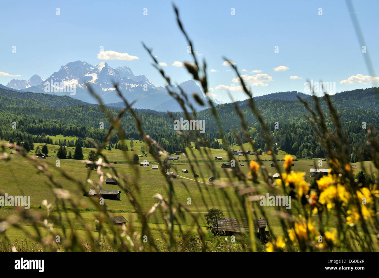 View across meadows towards the Wetterstein mountain range, Karwendel mountain range near Mittenwald, Bavaria, Germany Stock Photo
