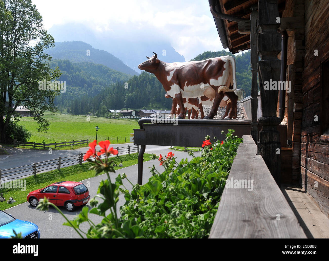 Cheese dairy Wilder Kaeser near Sankt Johann, Tyrol, Austria Stock Photo