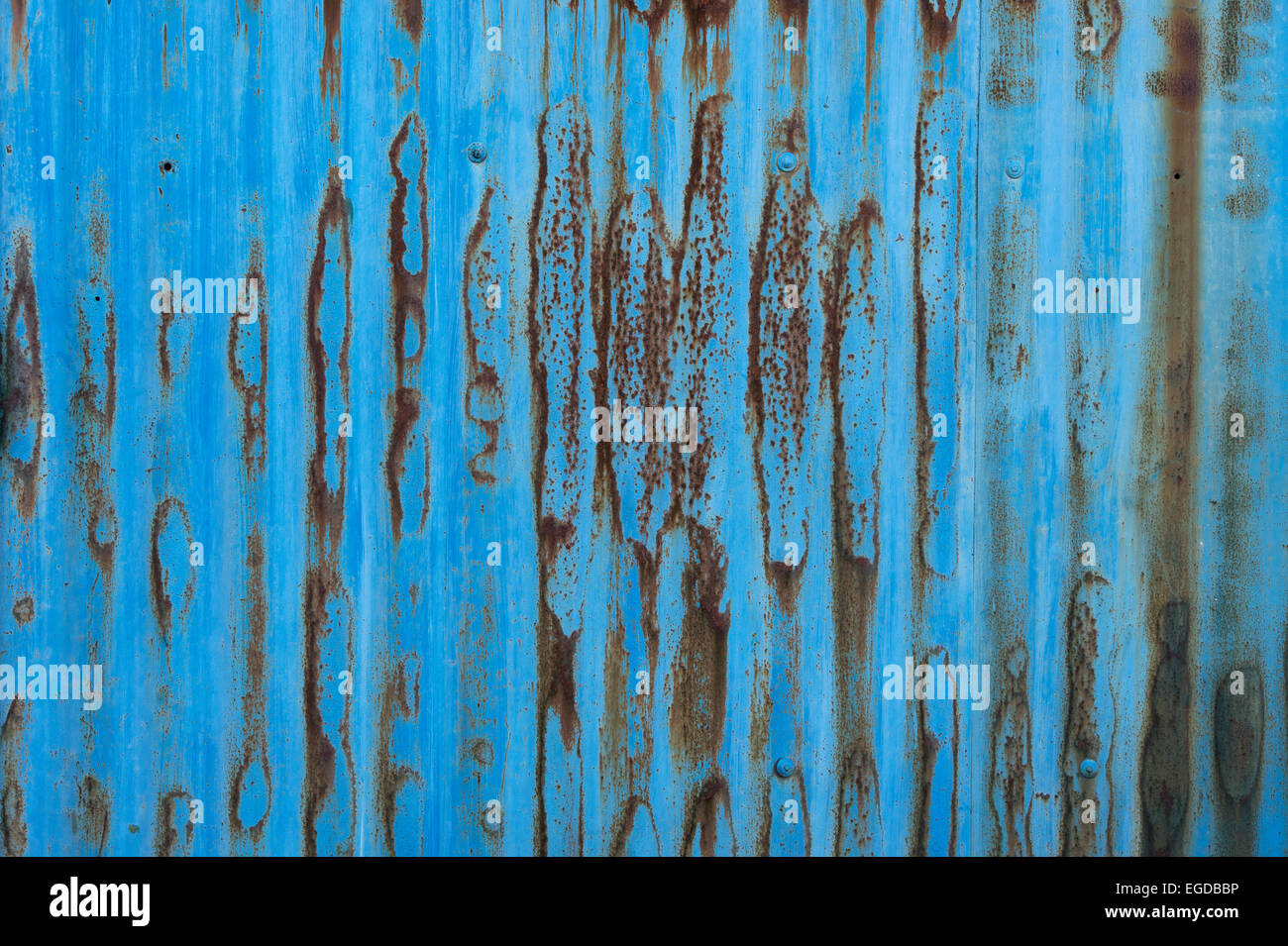 Rusting blue painted corrugated iron texture Stock Photo