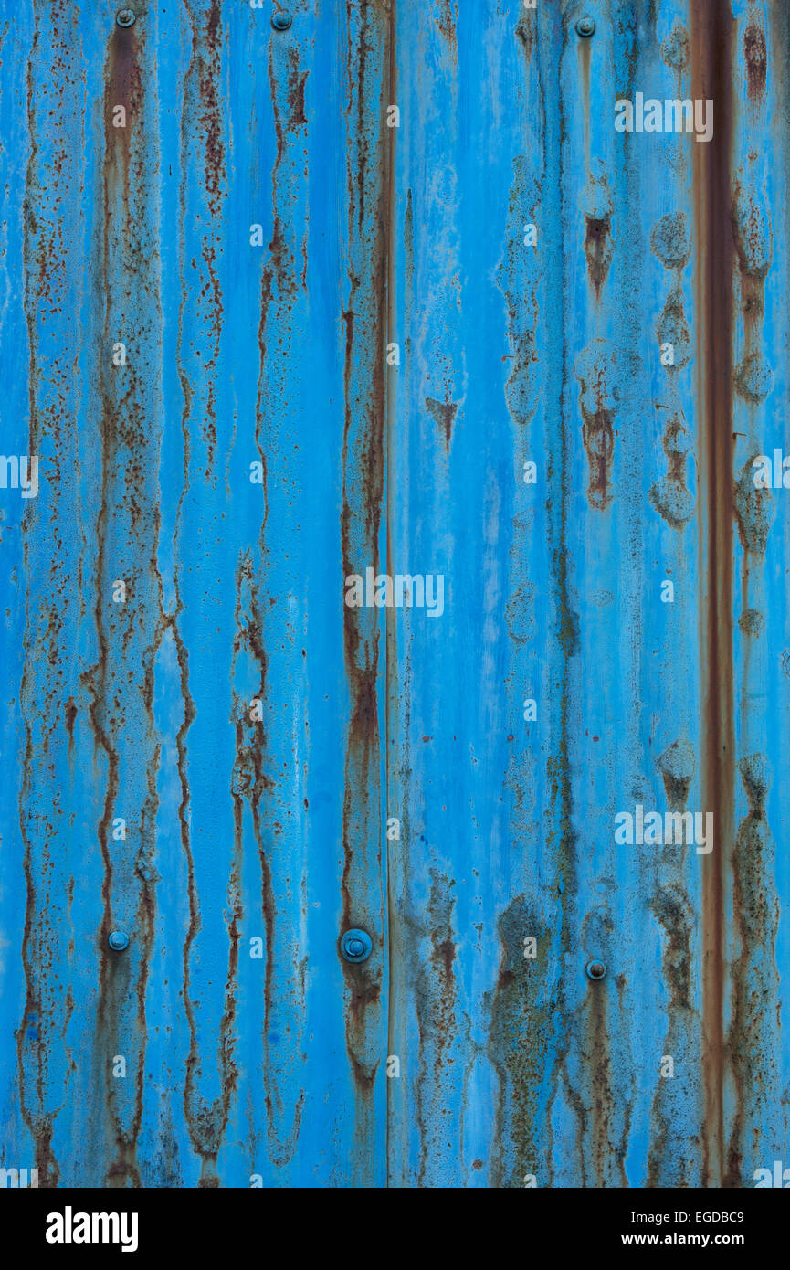 Rusting blue painted corrugated iron texture Stock Photo